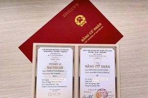 Bằng Đại học có thực sự quan trọng trong thị trường lao động hiện nay?