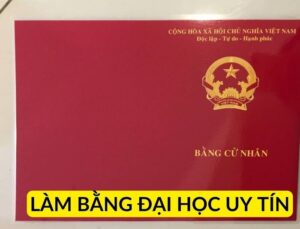 Các quy trình làm bằng đại học tại Lamhoso.vn nhanh chóng, chuyên nghiệp