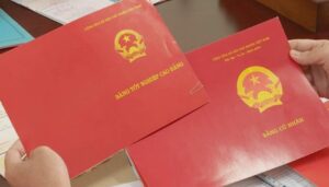 Bị Mất Bằng Cao Đẳng Phải Làm Sao? Hướng Dẫn Xin Cấp Lại Bằng