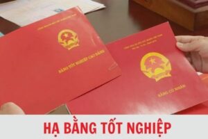 Khi nào bị hạ bằng đại học? 6 Trường hợp bị thu hồi, hủy bỏ